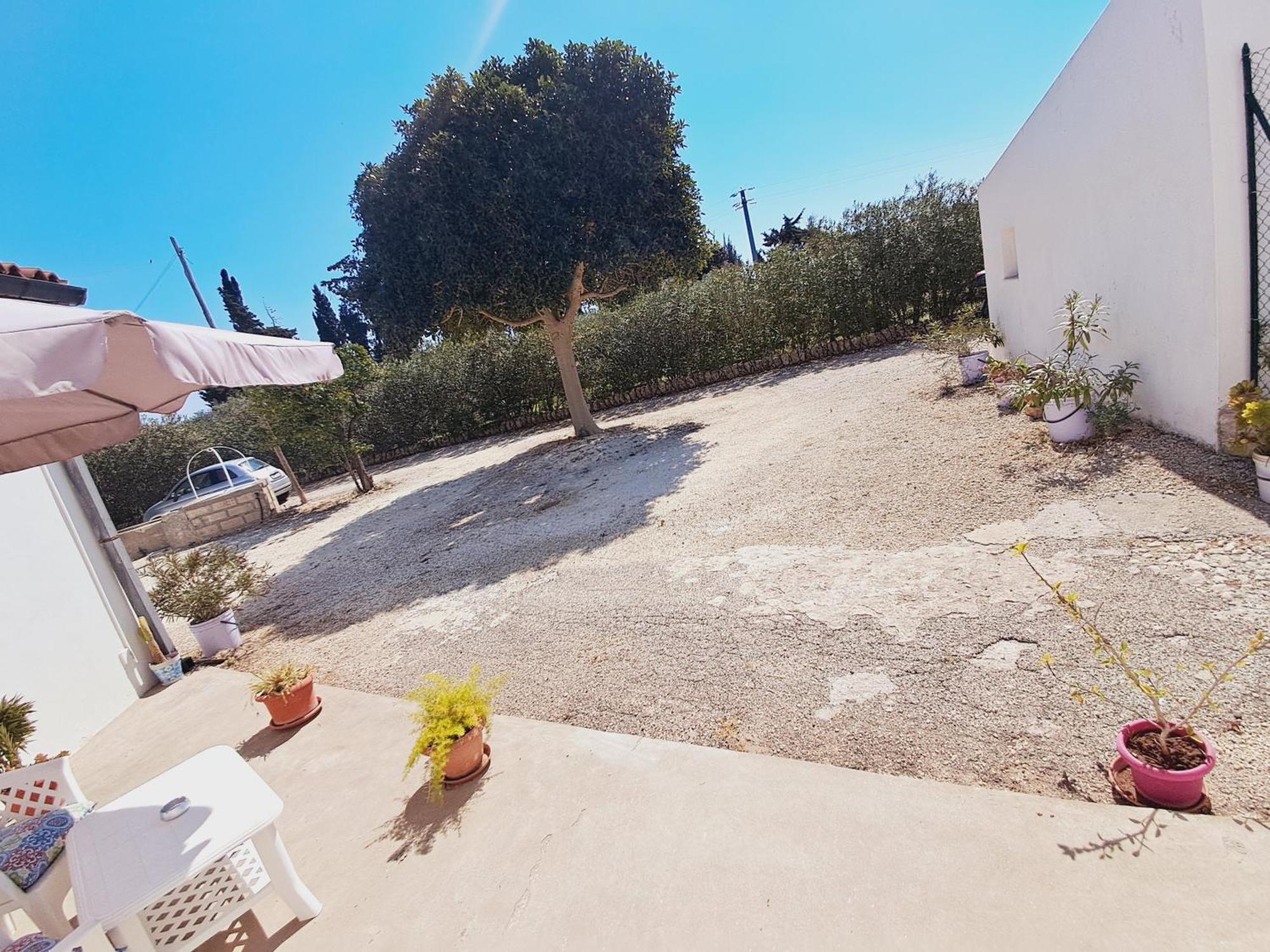 סירקוזה Hibiscus Siracusa מראה חיצוני תמונה
